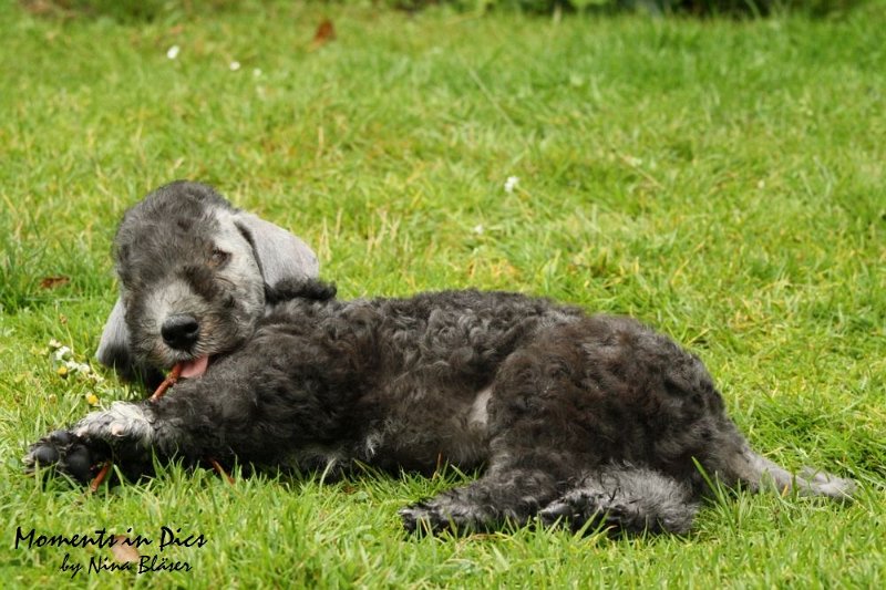 Antares 2009-07-12 (43).JPG